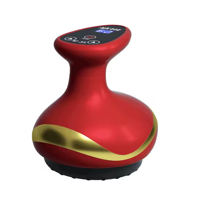 Ventouse de Massage Electrique